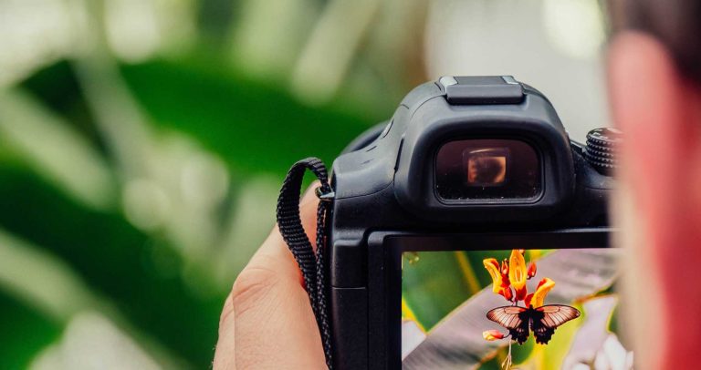 Best Camera Buying Guide For Summer 2022